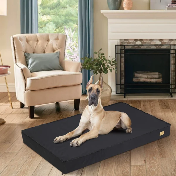 Sponge Foam Bedding