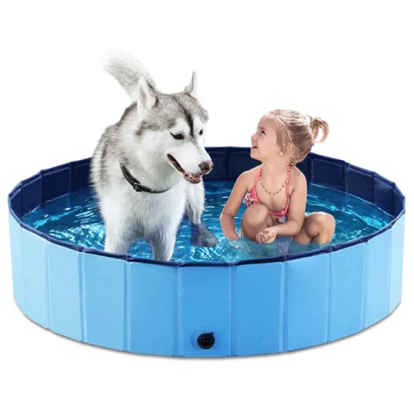 Dog Swimming Pool