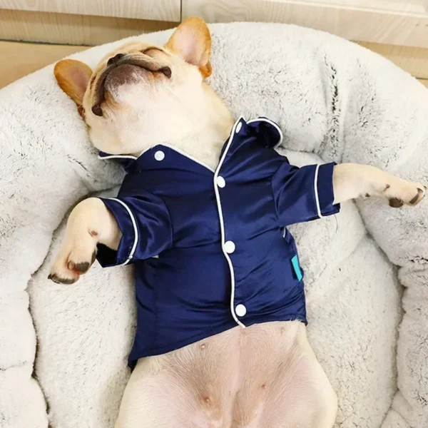 Soft Silk Pajamas