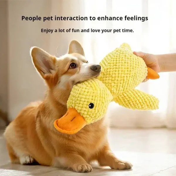 Squeaky Plush Duck